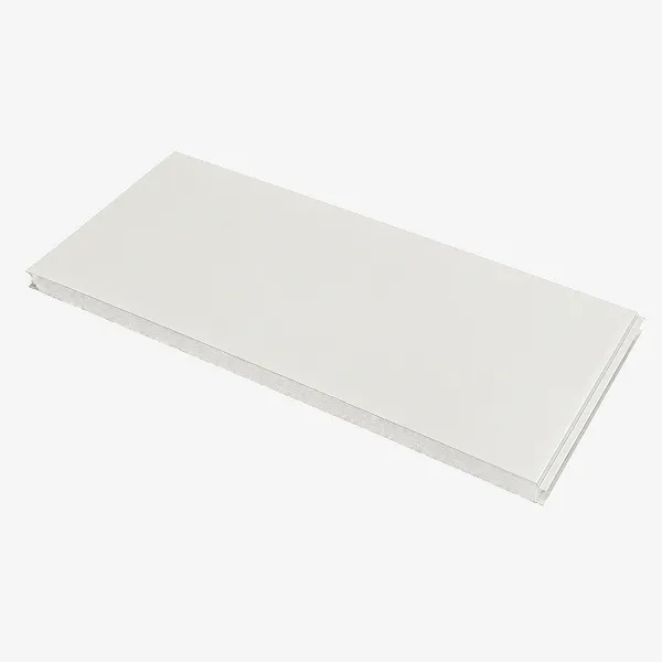 Պատի սենդվիչ պանել, գունավոր, փայլուն, RAL 9003